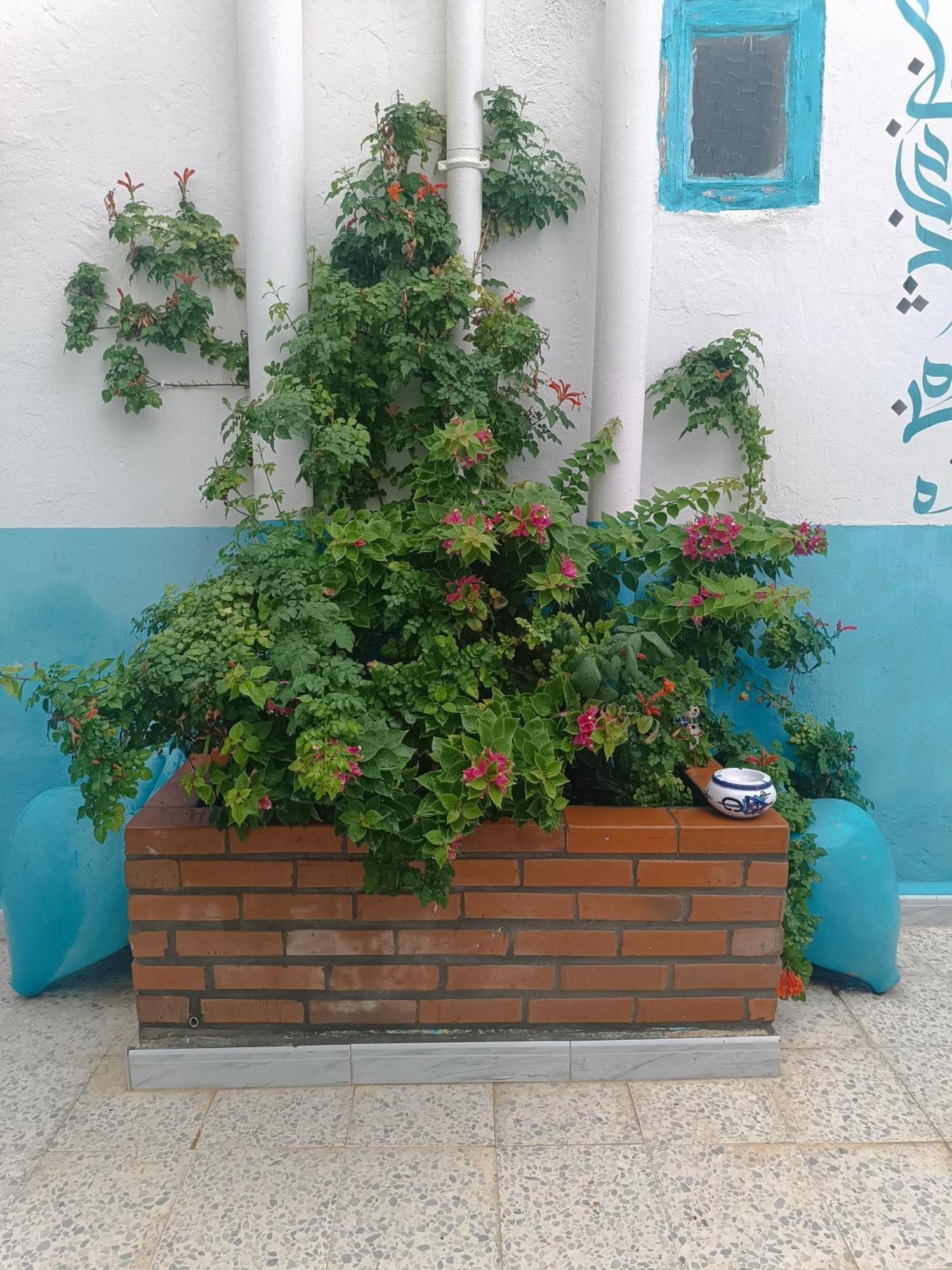 Dar Hkaiem *